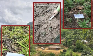 Bản Hin Phon nằm trên đồi cao, ngay cạnh rừng tự nhiên. Trong khu rừng vẫn còn nhiều dấu tích của trâu bò bị tấn công.