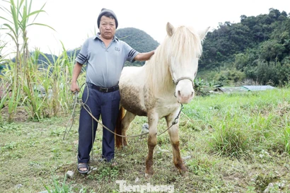 Lên 'cổng trời' Mường Lống tìm dấu vó ngựa xưa