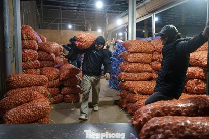 Bốc hàng xuyên ngày đêm tại chợ đầu mối lớn nhất xứ Thanh 