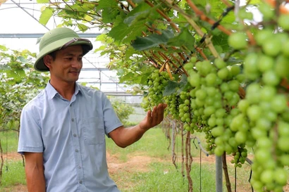 Hành trình làm giàu trên mảnh đất cằn của anh nông dân Hà Tĩnh