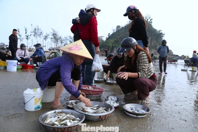 Mở biển lấy lộc, chợ hải sản ven biển nhộn nhịp ngày đầu năm