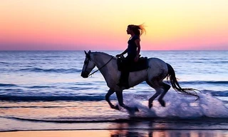 Bốn con giáp cực may mắn trong năm Bính Ngọ 2026