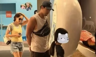 Bin Jin tận hưởng chuyến đi Disneyland cùng con trai