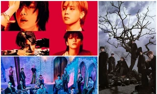 Sự trỗi dậy của những nhóm nhạc tiền bối thế hệ thứ hai, thứ ba K-pop