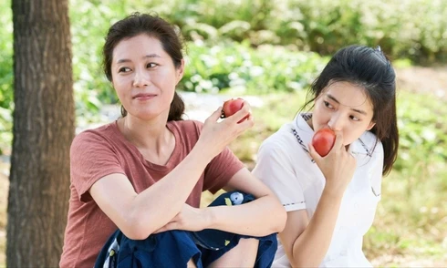 Horoscope 10/11 - 16/11: Nhân Mã dễ bị phân tâm, Song Ngư tìm cảm giác bình yên