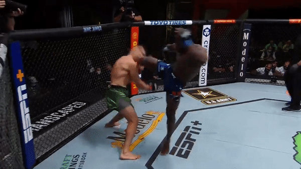 Võ sĩ MMA hạ knock-out đối thủ chỉ sau một cú ra đòn