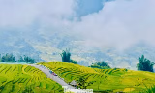 48 giờ săn mây, ngắm lúa, ăn gà ở Y Tý 