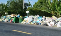 Cà Mau: Thêm công ty muốn dừng gom rác 3 ngày Tết, địa phương không chấp thuận