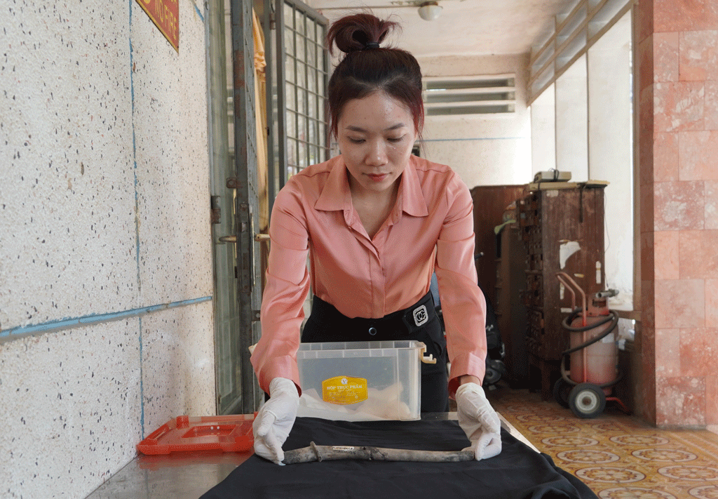 Chiếc đàn một dây bằng sừng hươu, cổ vật có niên đại 2.000 năm thuộc nền văn hóa Óc Eo được bảo quản tại Bảo tàng - Thư viện tỉnh Long An.