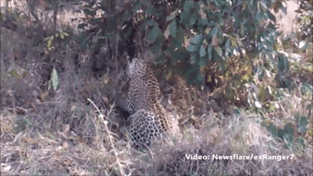 Video hot: Đập cửa kính cướp nhẫn kim cương chục tỉ giữa ban ngày ảnh 3