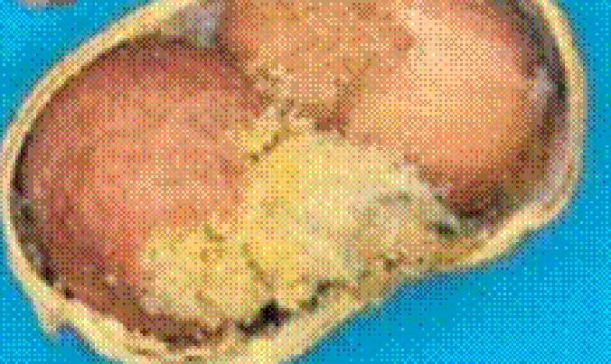Nhộng mọt lạc serratus trên lạc.