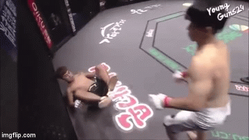 Rợn tóc gáy cú đạp đầu trên sàn đấu MMA 