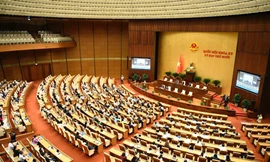 Quốc hội họp riêng, bầu và phê chuẩn nhân sự lãnh đạo cấp cao ở Chính phủ, Quốc hội