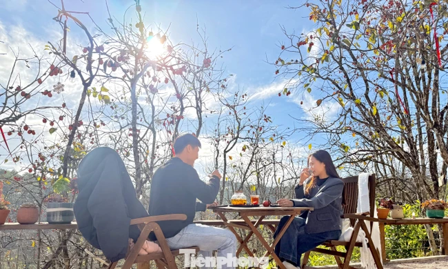 Du khách nô nức check-in giữa vườn hồng chất chill Đà Lạt