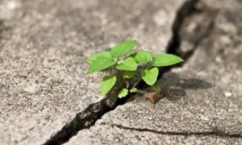 Bạn có biết mình mạnh đến mức nào