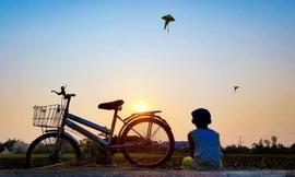 Đơn thuốc cho sự bình yên