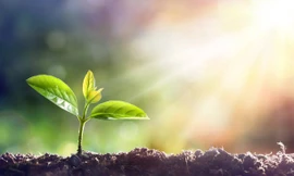 Gieo trồng hạnh phúc