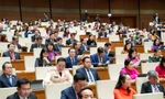 Các đại biểu Quốc hội tại Kỳ họp thứ 10, Quốc hội khóa XV.