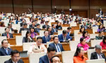 Các đại biểu Quốc hội tại Kỳ họp thứ 10, Quốc hội khóa XV.