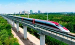 Khẩn trương đề xuất lựa chọn hình thức đầu tư đường sắt tốc độ cao Bắc – Nam