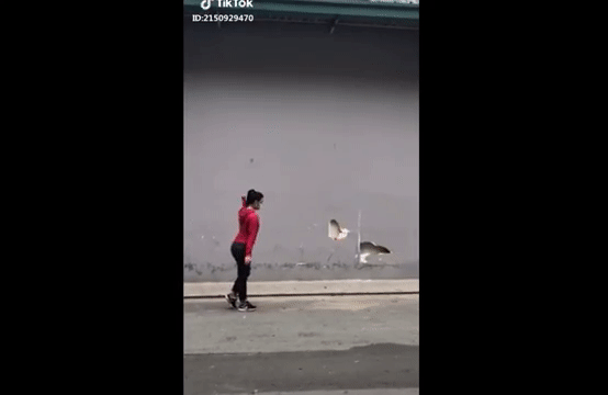 Ở một nơi xa xôi cũng phải quay…