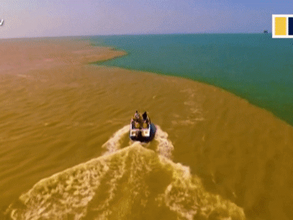 Biển như tách làm đôi với hai màu nước khác nhau