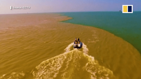 Cảnh tượng ngoạn mục biển như tách làm đôi với hai màu nước tại nơi giao nhau giữa sông Hoàng Hà và biển Bột Hải.