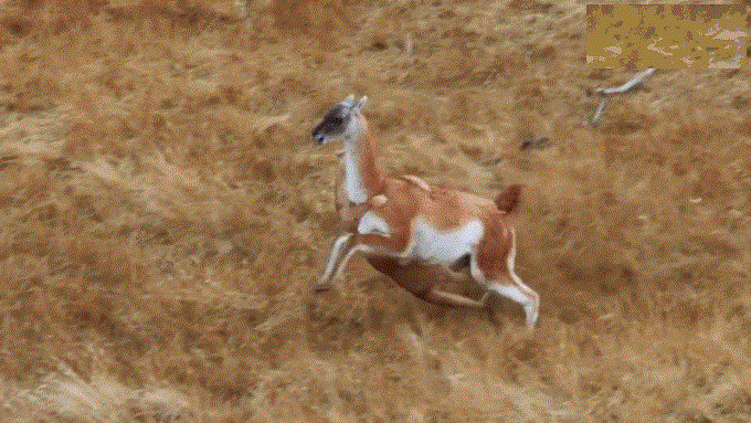 Động đất từ 4 độ Richter sẽ là thảm họa với Thủ đô ảnh 8 Động đất từ 4 độ Richter sẽ là thảm họa với Thủ đô ảnh 8