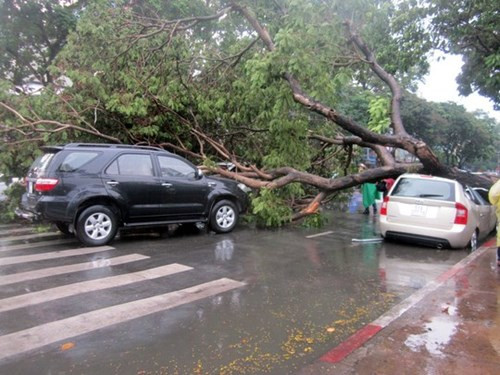 Ảnh: Kiến Thức