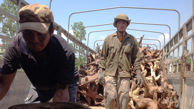  Bốc gỗ từ toa tàu xuống ô tô để kiểm tra, phân loại tại ga Đồng Hới