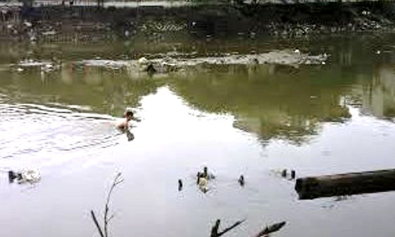 Dòng sông nơi nghi phạm phi tang hung khí