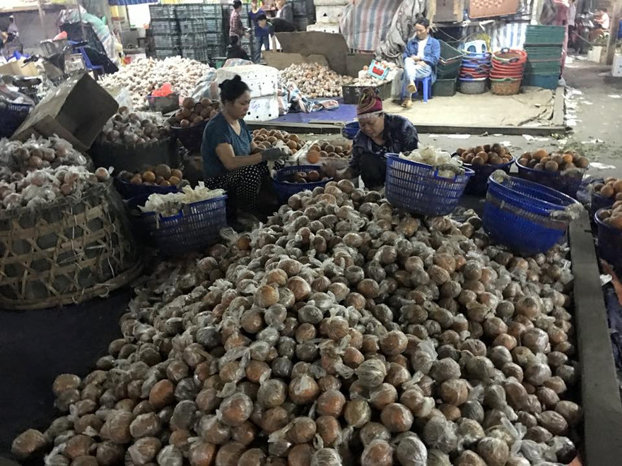 Hình ảnh cam sành Hà Giang được bọc túi nilon cùng chất bảo quản độc hại được lan truyền trên mạng xã hội