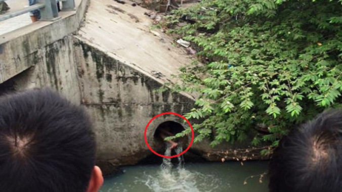 Cô gái ngáo đá chui vào vào trong ống cống.