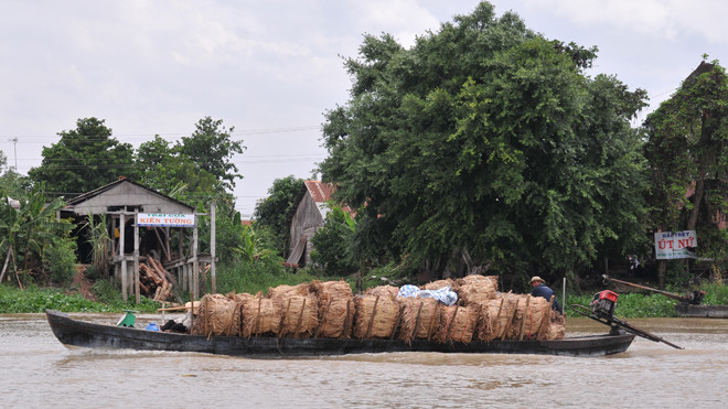 Ảnh minh họa. Nguồn: Tuấn Nguyễn