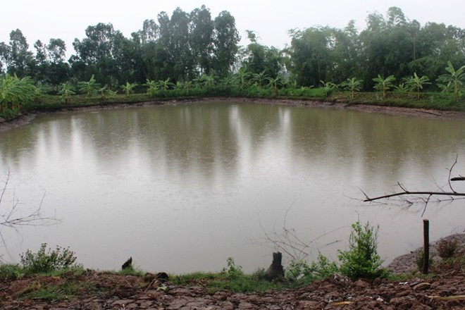 Ảnh minh họa: Internet.