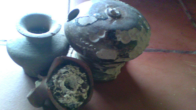 Số mẫu vật nguyên vẹn hiện còn sót lại rất ít. Ảnh: M. Đình.