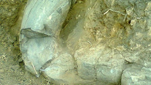 (Nguồn: scratch-radio.com) 