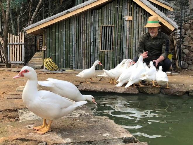 Showbiz 16/4: Tài tử Triệu Văn Tuyên giã từ sự nghiệp về quê nuôi vịt