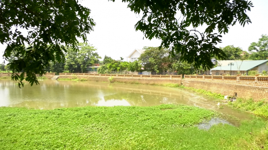 Ao cá Bác Hồ tại làng cổ Đường Lâm, thị xã Sơn Tây