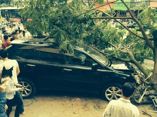 Chiếc xe đâm vào cột đèn mới chịu dừng lại.