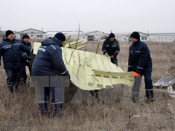 Lực lượng chức năng làm việc tại hiện trường vụ rơi máy bay. (Nguồn: THX/TTXVN)