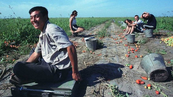 Nông dân Trung Quốc đang dần từ bỏ việc đồng áng để chuyển sang đầu tư chứng khoán. Ảnh: BusinessInsider.