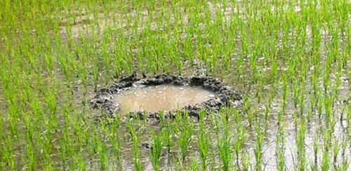 Hai hố sâu trên mặt đất được các điều tra viên phát hiện. 