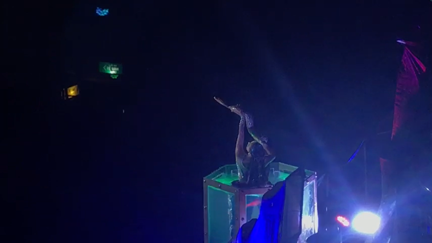 Nữ diễn viên xiếc với trăn khổng lồ