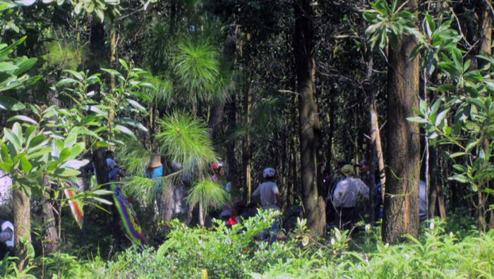 Dụ thiếu nữ vào nghĩa trang giở trò đồi bại