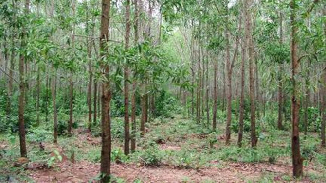 Hiện trường nơi xảy ra vụ án mạng