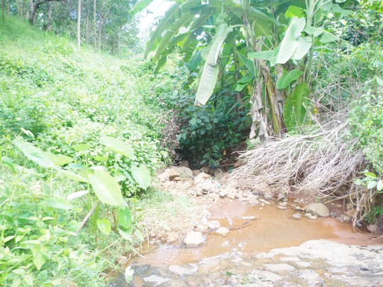 Khe suối nơi Thị Rôn bỏ con để đứa bé lạnh đến chết