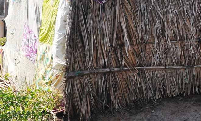 Chuồng gà nơi bé gái ngủ với đàn gia cầm và 3 con chó. Ảnh: Nhật Tân