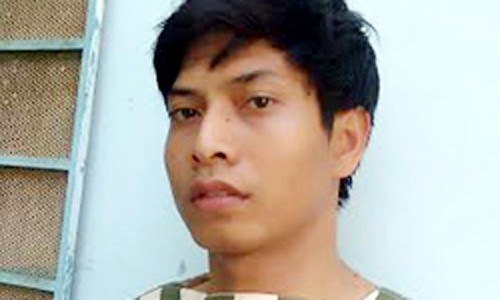 Ngành tại cơ quan. Ảnh: C.A