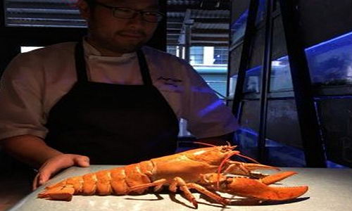 Con tôm hùm màu đỏ giống như bị nấu chín. Ảnh: Rob Verger.